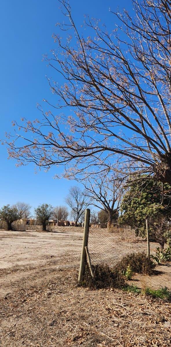 Finca en Venta 4