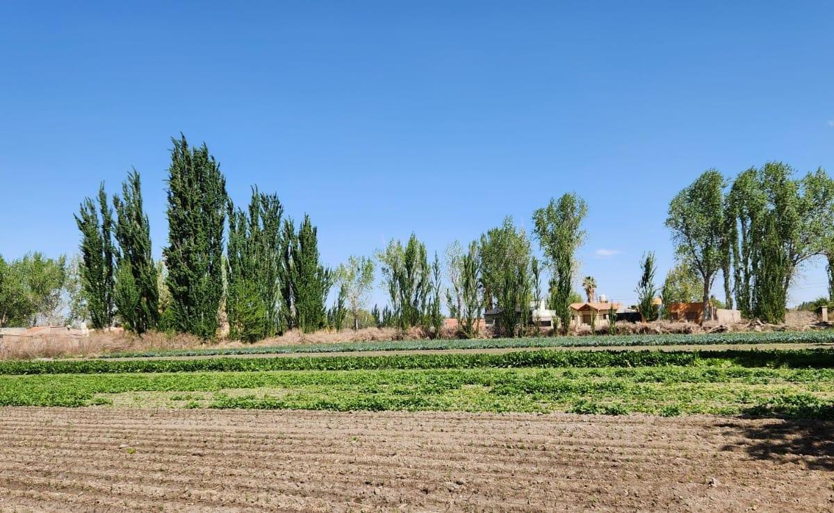 Finca en Venta 4