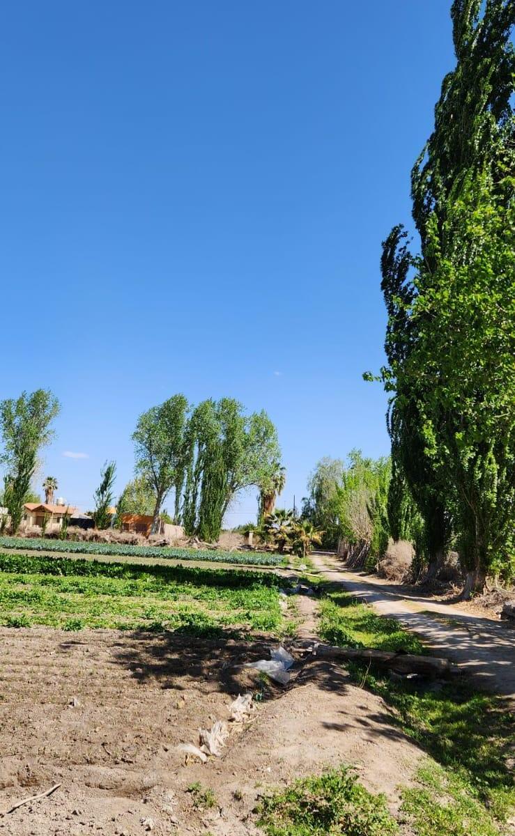 Finca en Venta 3