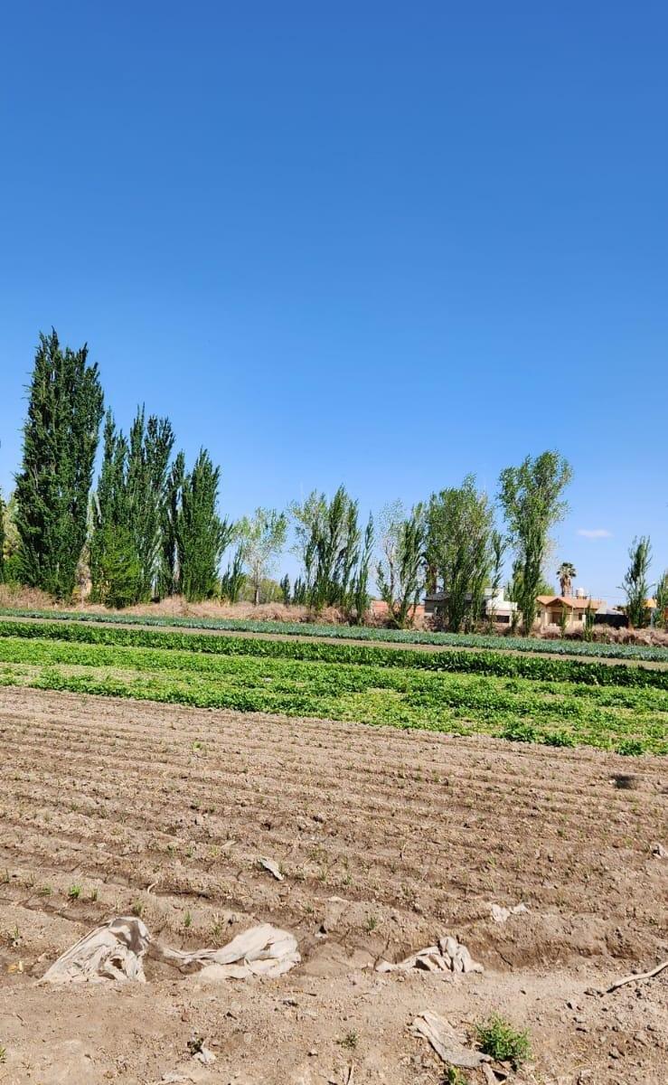 Finca en Venta 5