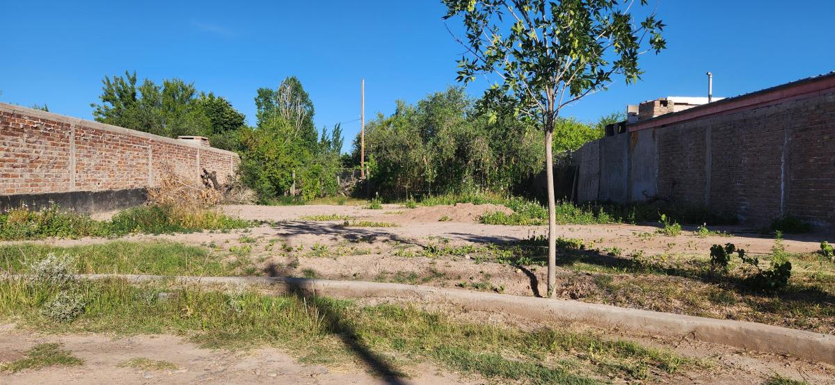 Lote en Venta 2