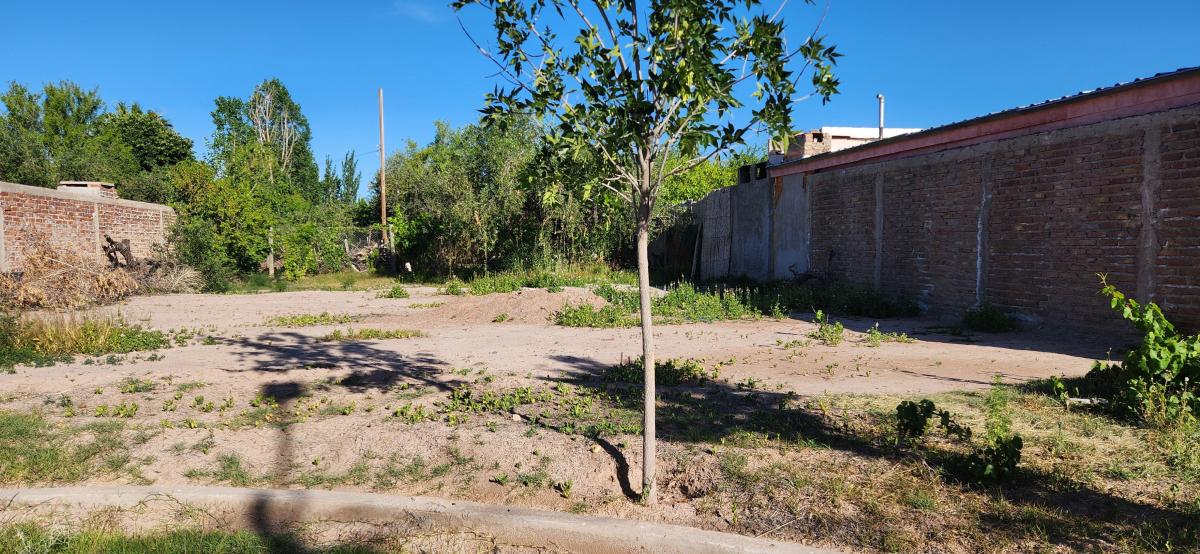 Lote en Venta 3