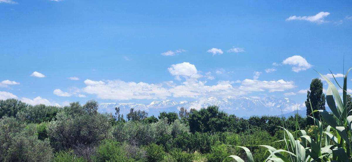 LOTE EN VENTA