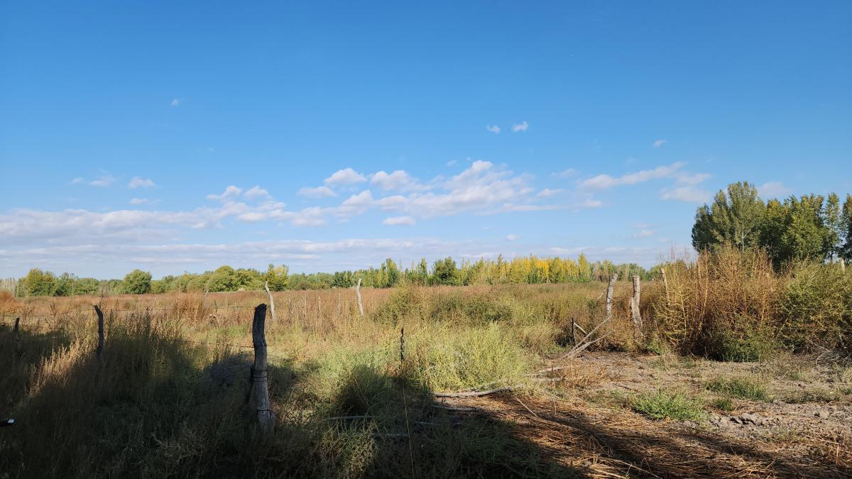 Terreno en Venta 2