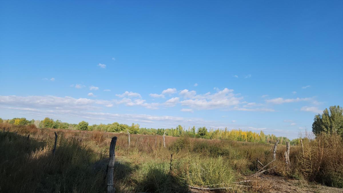 Terreno en Venta 1