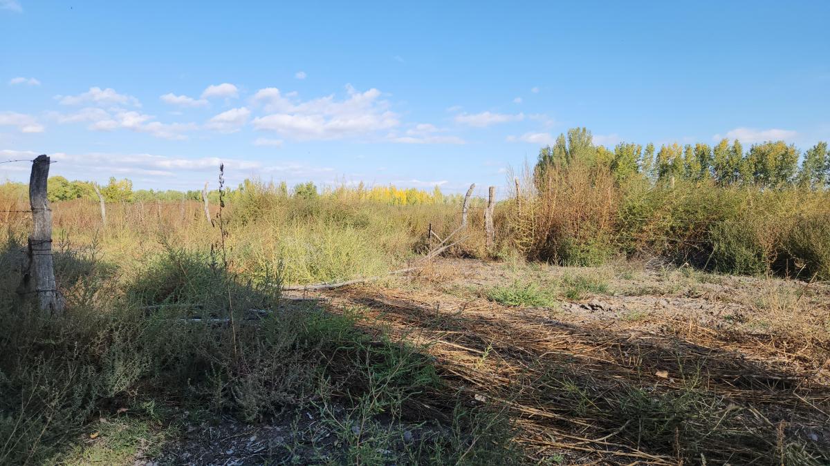 Terreno en Venta 3