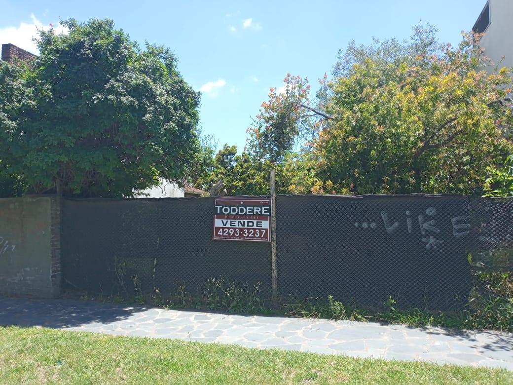 Foto de EXCELENTE LOTE SOBRE AVENIDA EN ADROGUE, imagen 4
