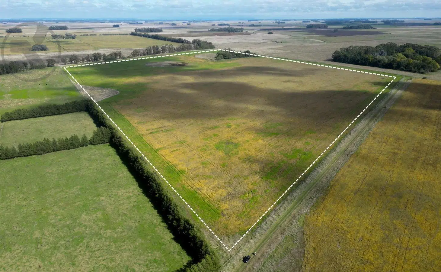 Campo en arrendamiento en Mar Chiquita | 40 hectáreas 4
