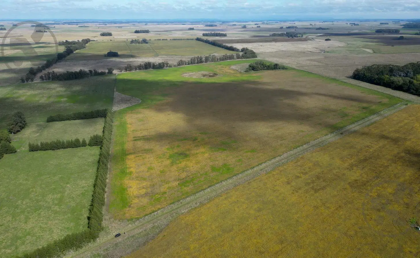 Campo en arrendamiento en Mar Chiquita | 40 hectáreas 3