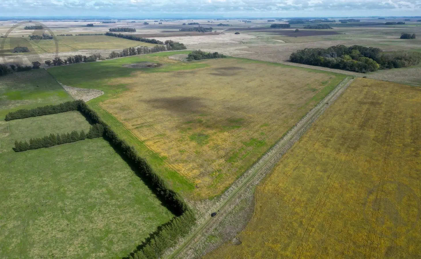 Campo en arrendamiento en Mar Chiquita | 40 hectáreas 5