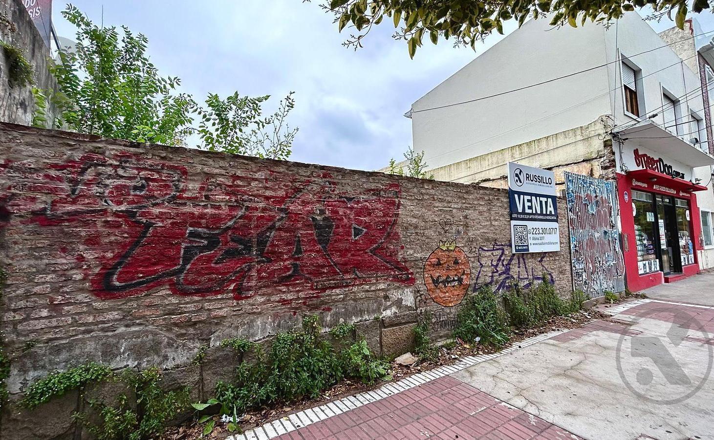 Foto de VENTA | LOTE PARA DESARROLLO | INDEPENDENCIA Y PASO, imagen 5