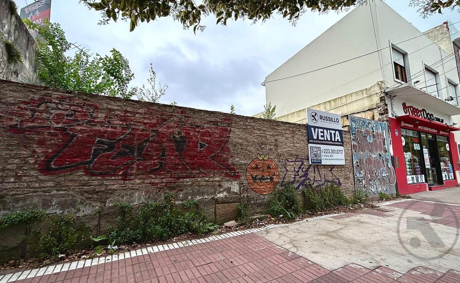 Foto de VENTA | LOTE PARA DESARROLLO | INDEPENDENCIA Y PASO, imagen 4