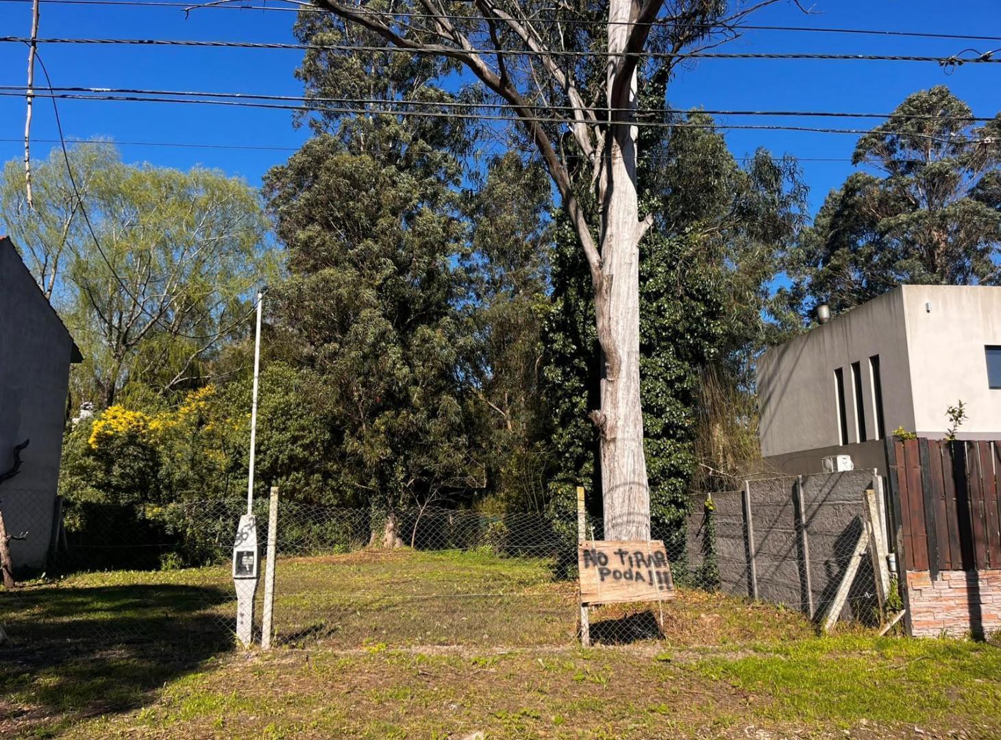Foto de Terreno en el Bosque Peralta Ramos, imagen 4