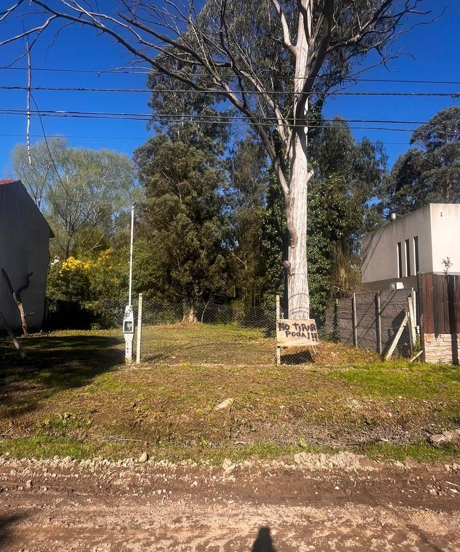 Foto de Terreno en el Bosque Peralta Ramos, imagen 2