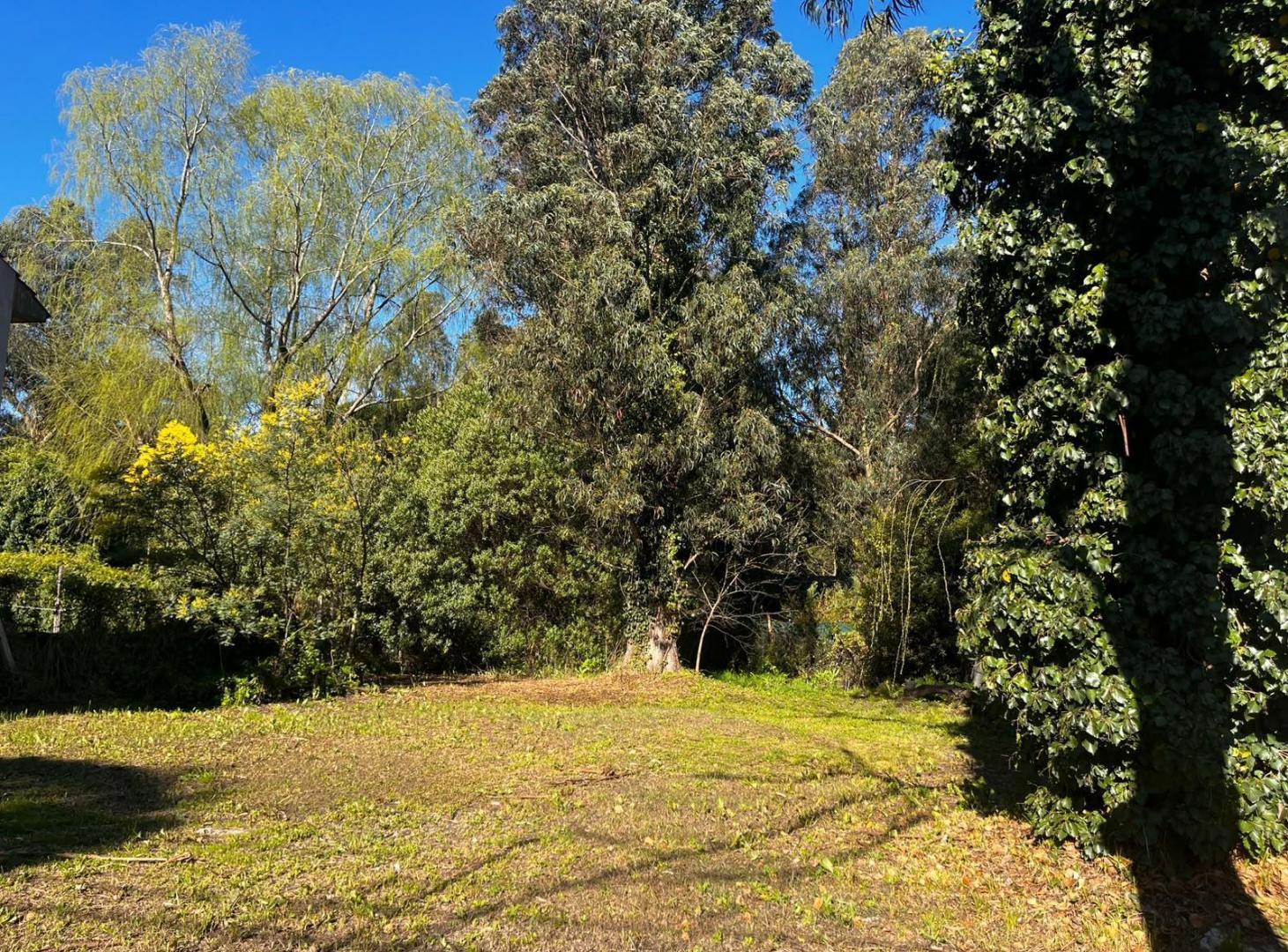 Terreno en el Bosque Peralta Ramos