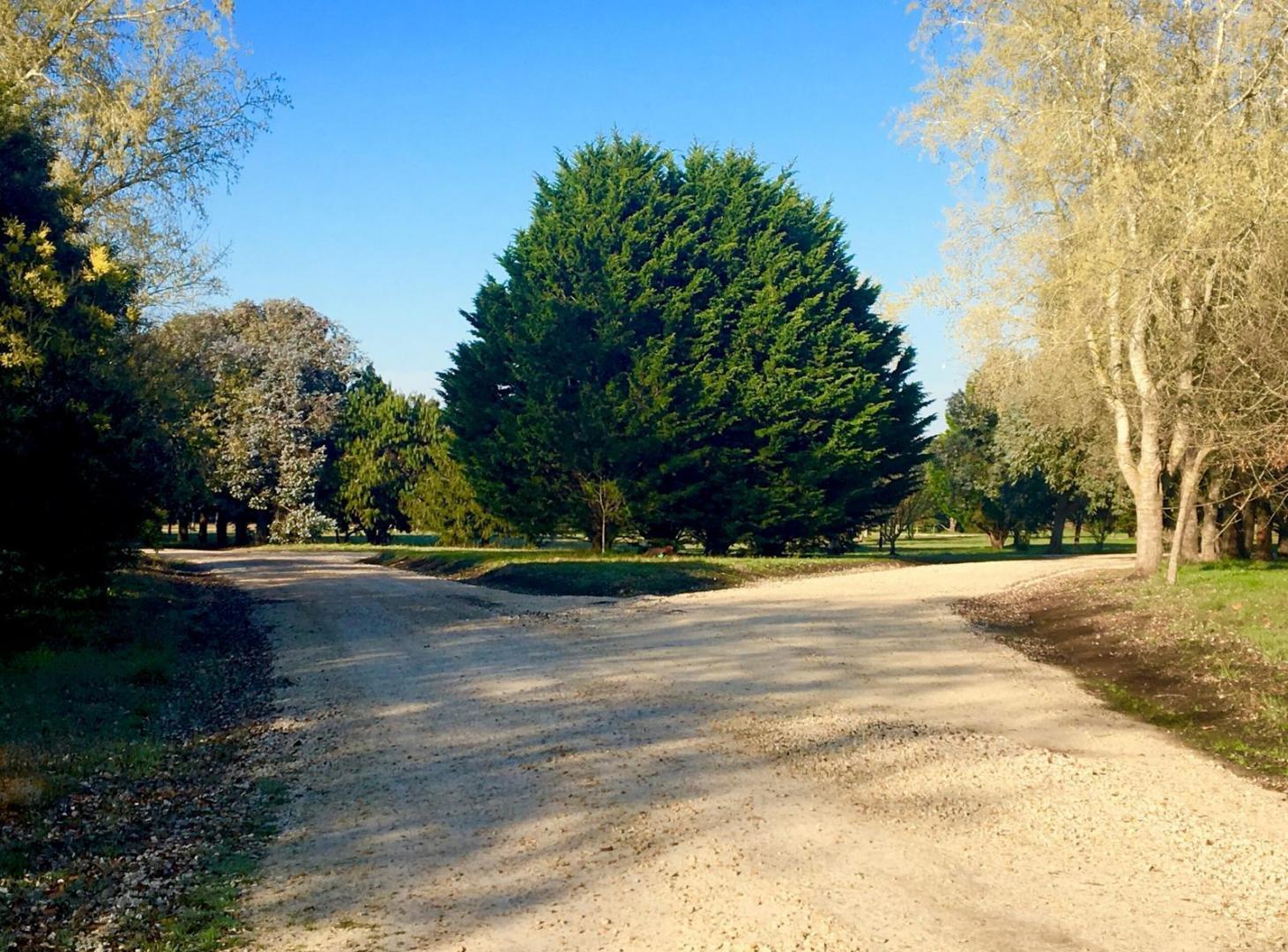 Foto de Barrio Pinares de Santa Clara. Lote 1, Manzana 21. Ruta 11, Km 495, imagen 3