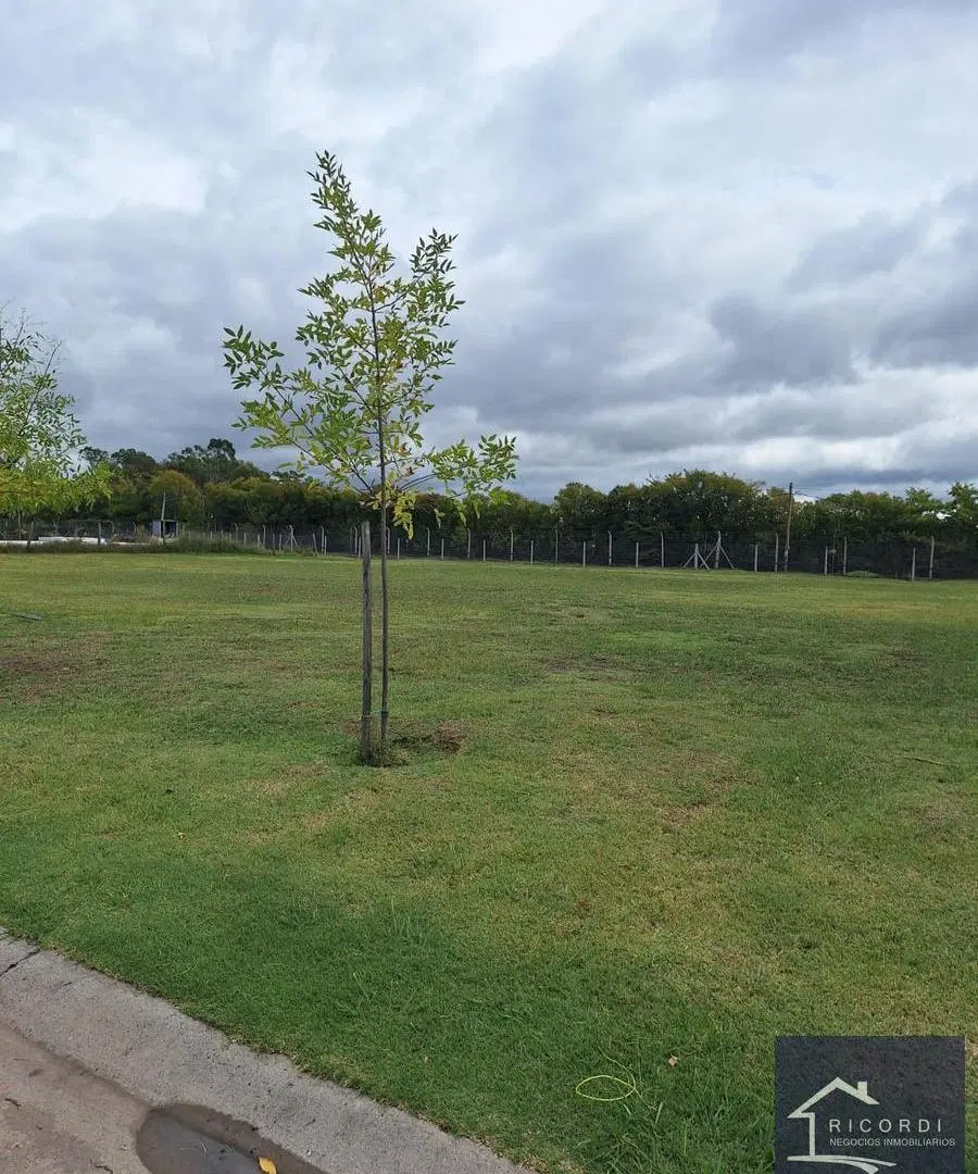 Terreno en Santa Lucia 4