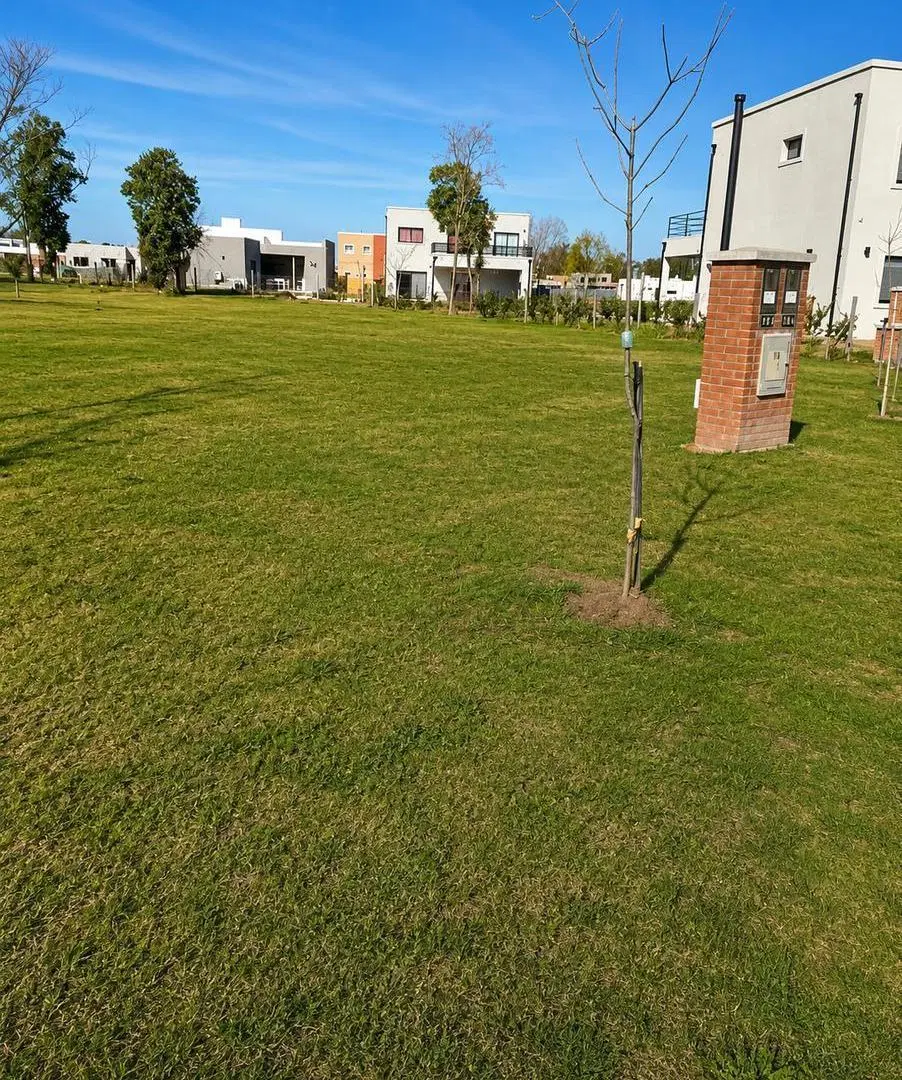 Terreno en Santa Lucia 2