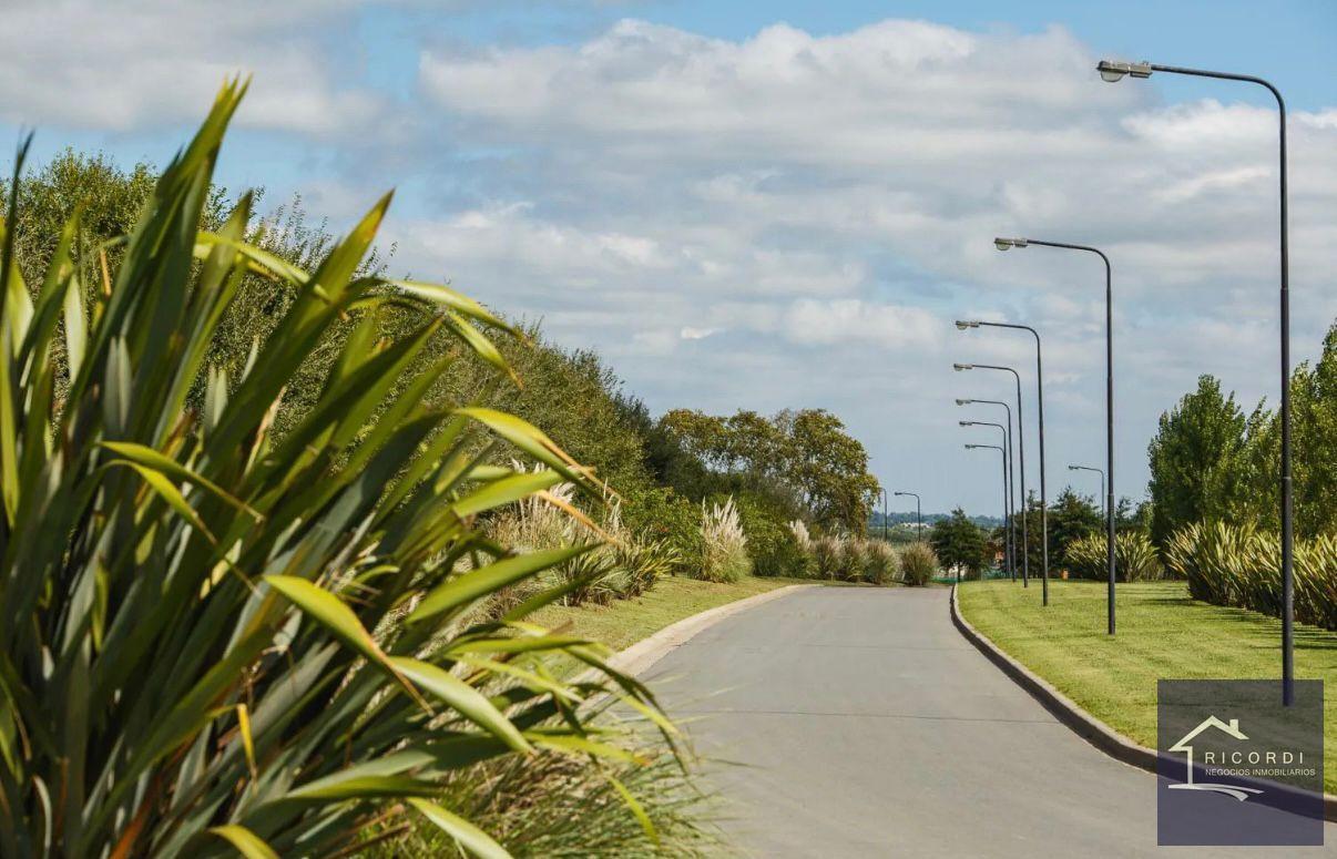 Foto de Terreno en venta San Sebastian, imagen 4