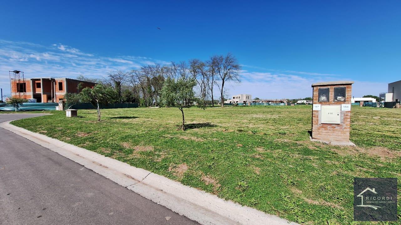 Foto de Terreno en Village Plaza, imagen 5