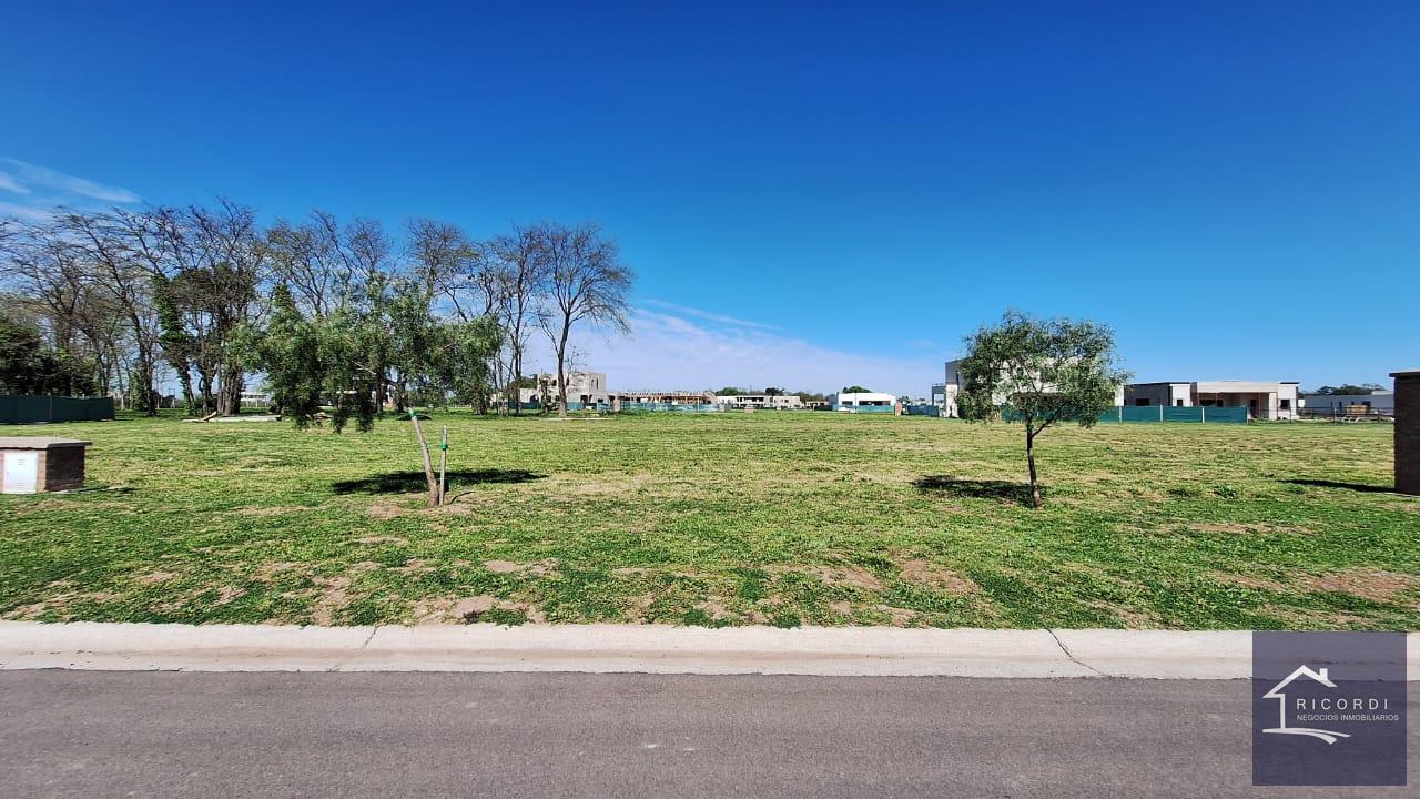Foto de Terreno en Village Plaza, imagen 4