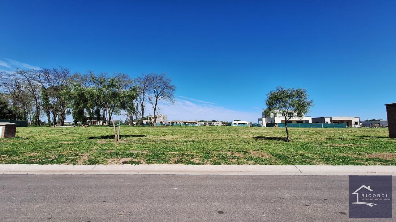 Foto de Terreno en Village Plaza, imagen 2