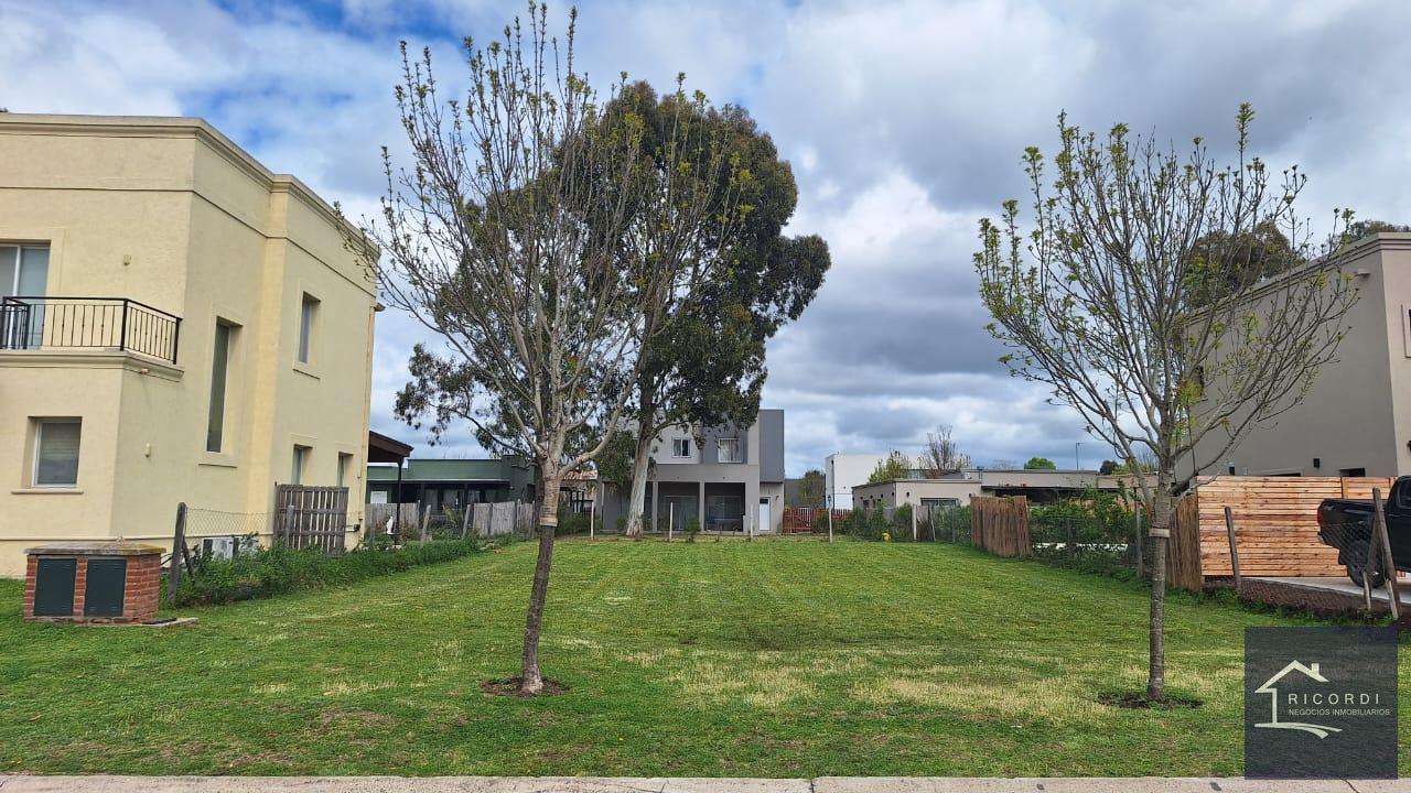 Foto de Terreno en Santo Tomás, imagen 4