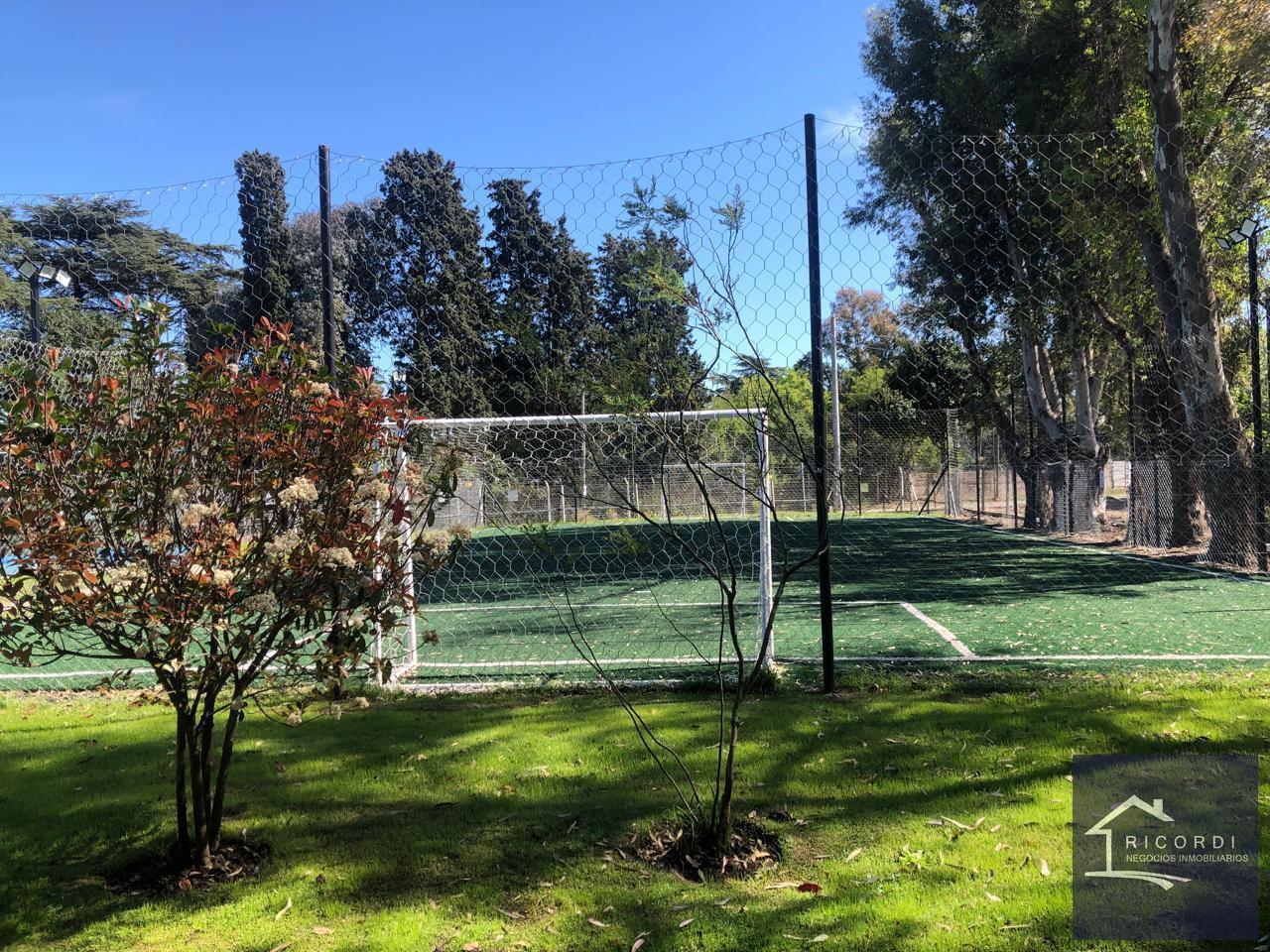 Foto de Terreno en Santa Emilia, imagen 3