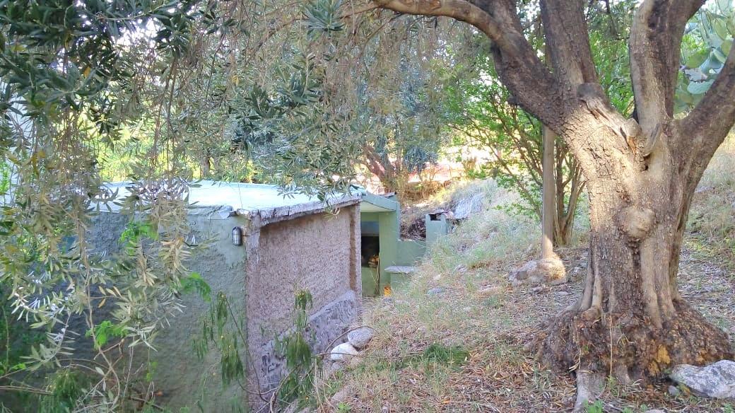 Capilla del Monte - Cordoba - Subida Al Cerro Uritorco 5