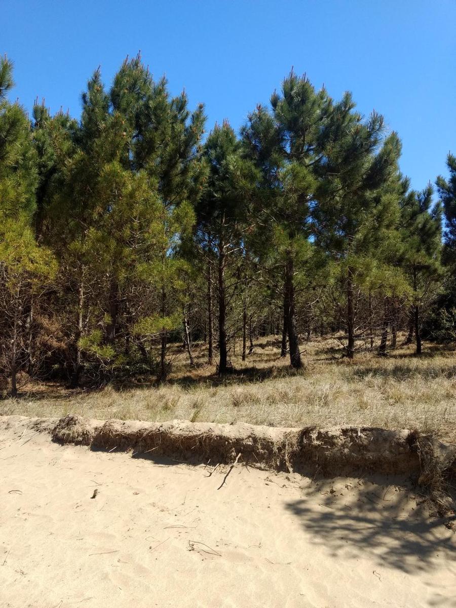 Hermoso Terreno en Costa Esmeralda - Marítimo IV, a m de La Playa 2