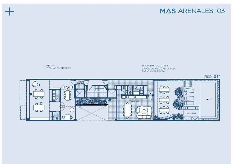 Plano 6