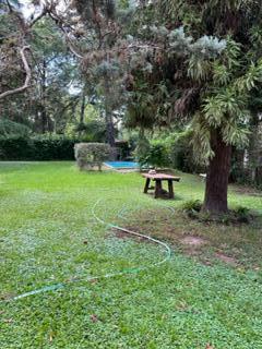 Foto de HERMOSA QUINTA EN PARQUE PERO - OPORTUNIDAD!, imagen 2