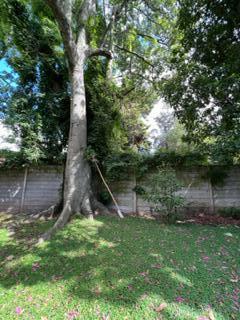 Foto de HERMOSA QUINTA EN PARQUE PERO - OPORTUNIDAD!, imagen 5