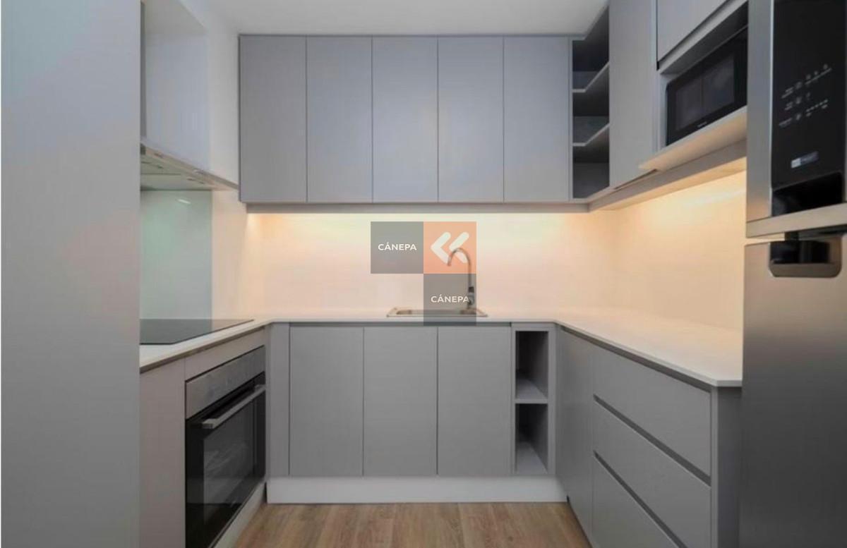 Foto de Departamento de 1 dormitorio en alquiler, imagen 3