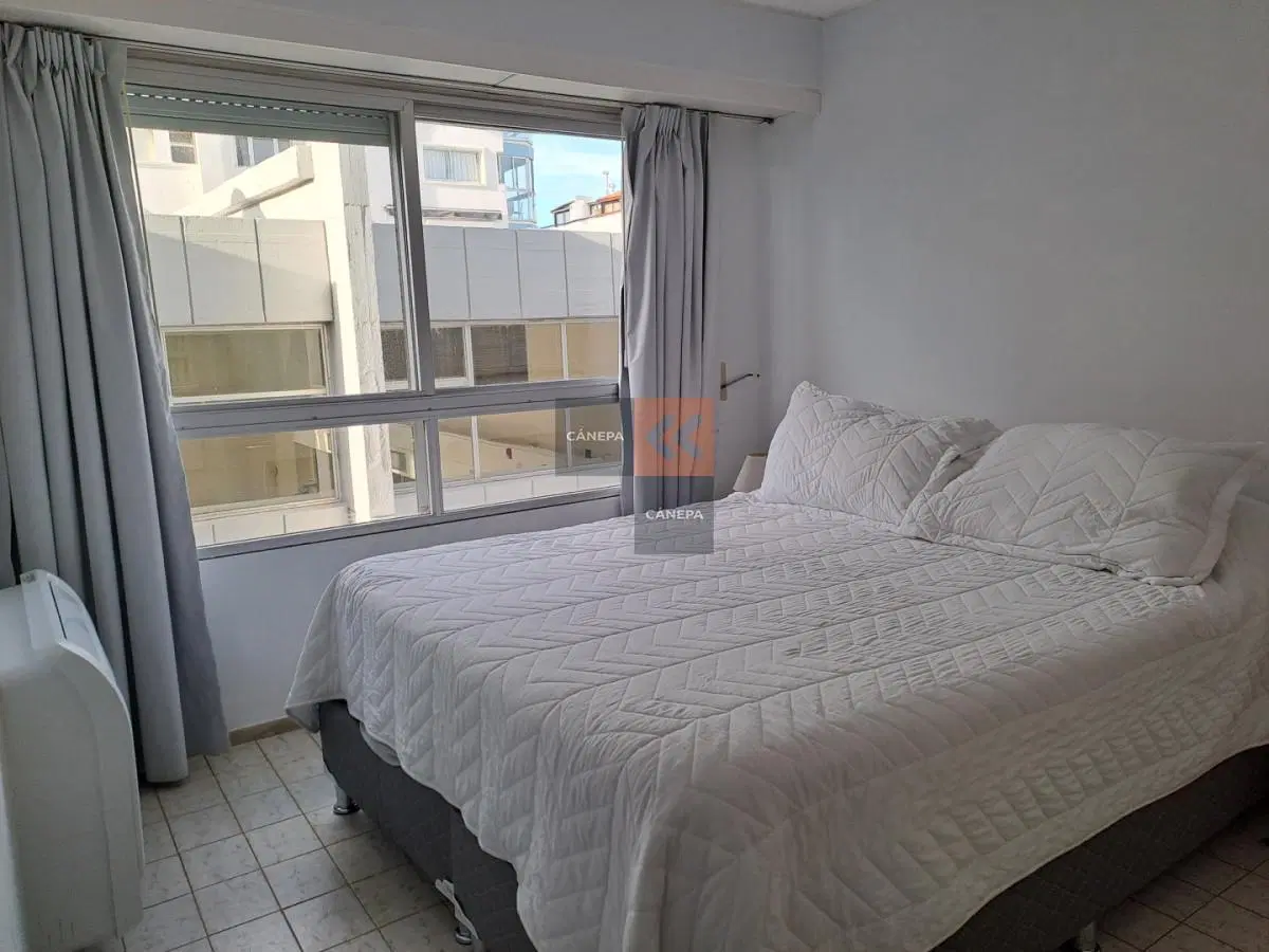 Apartamento de 1 dormitorio en alquiler anual e invernal 5