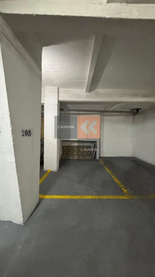Departamento en alquiler anual en zona península 1