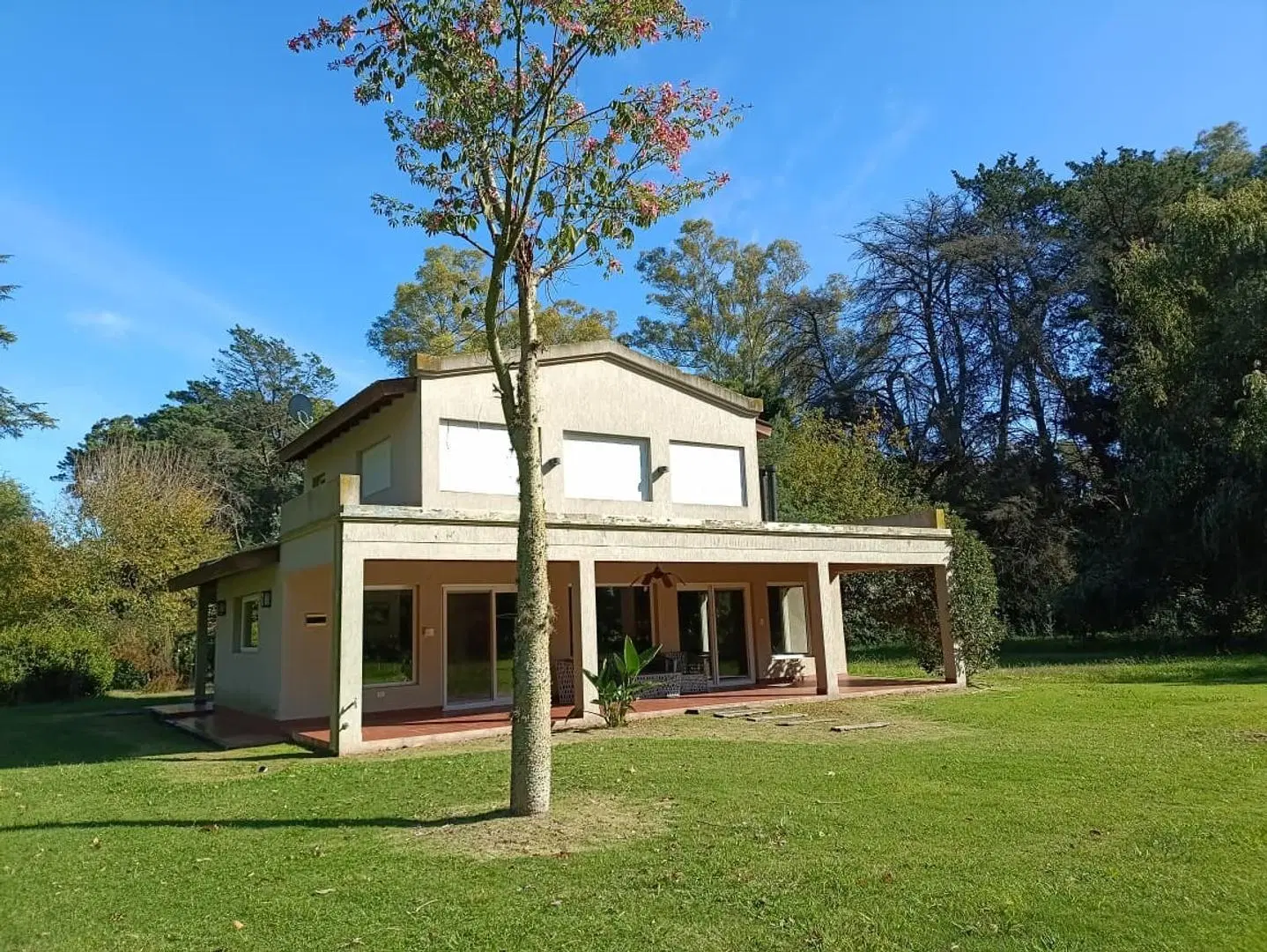 Campo de 20 hectareas sobre ruta 5 3