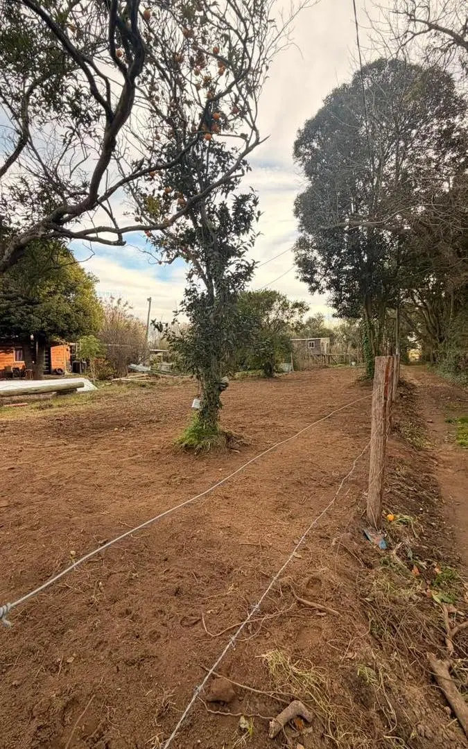 Terreno en Ensenada 3