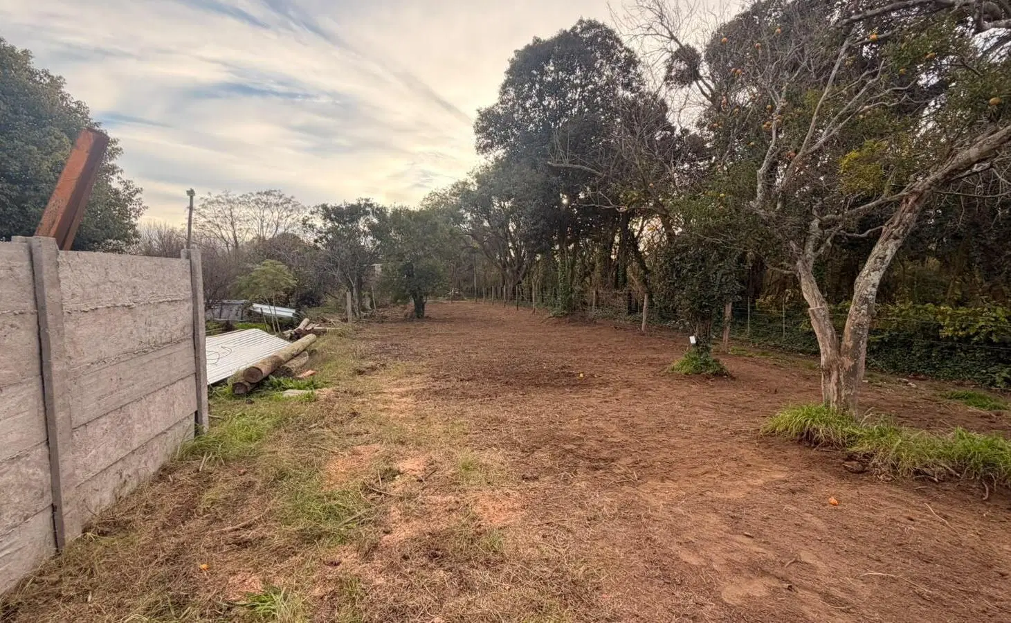 Terreno en Ensenada 2