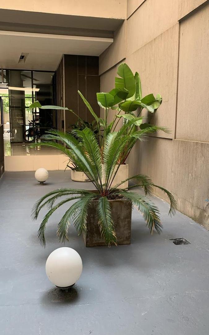 Foto de EN VENTA PALERMO MONOAMBIENTE LUMINOSO , PILETA, SOLARIUM, imagen 4