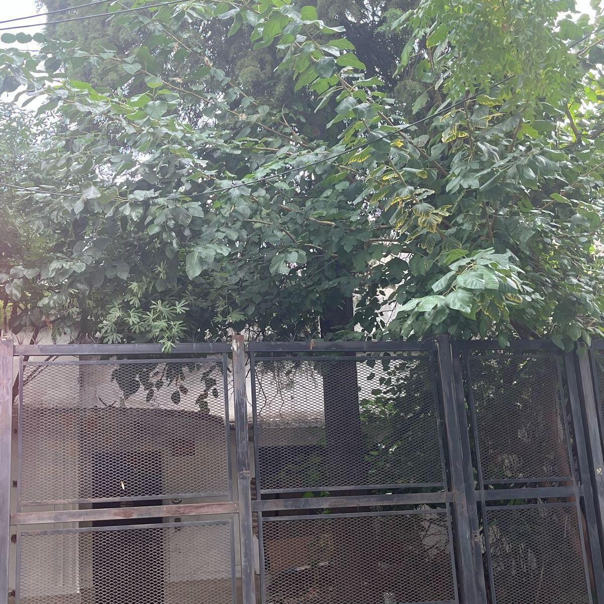 Lote de 360 m² en Lanús Este Centro 1