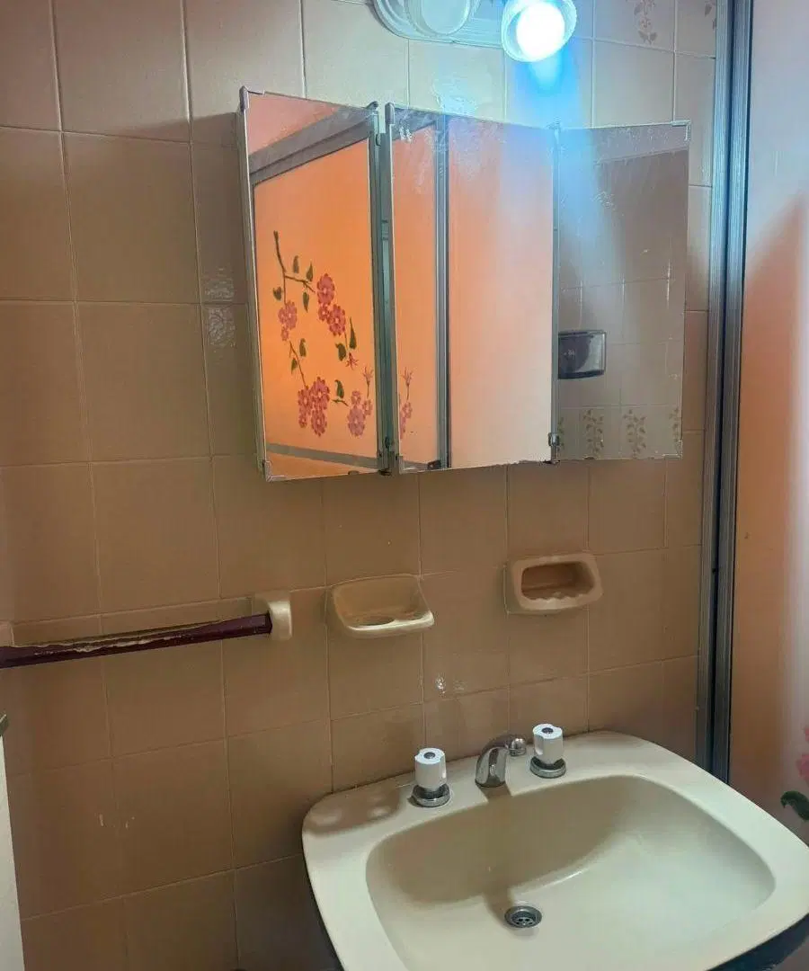 Departamento en alquiler c/ cochera en Lanús Este 5