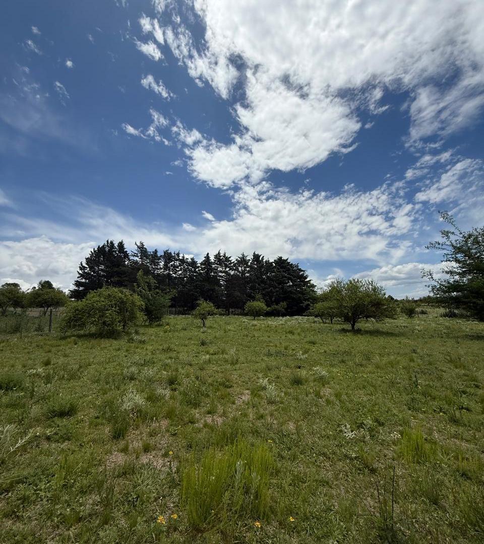 TERRENO POTRERO DE GARAY 2500m2 IDEAL EMPRENDIMIENTO TURISTICO