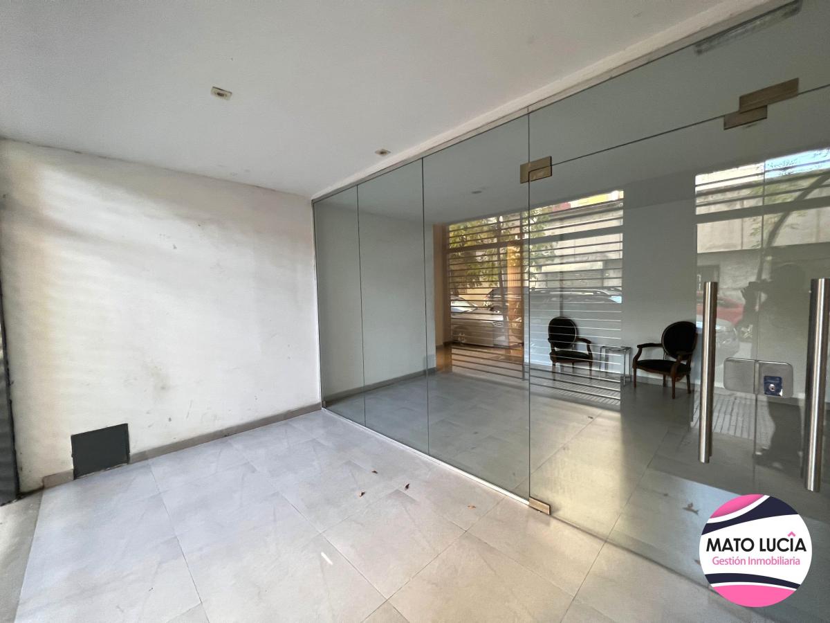 REGIO LOCAL PB + SUBSUELO 200 M2 + MONOAMB AL FTE APTO PROFESIONAL