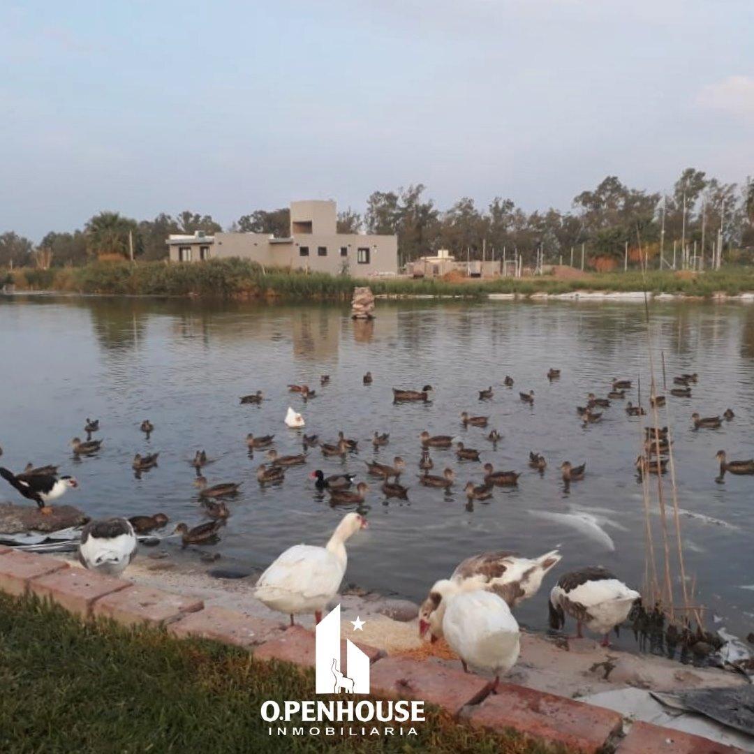 Inmobiliaria Openhouse Vende Terrenos en Barrio Privado Nautilius - Guaymallen! 4