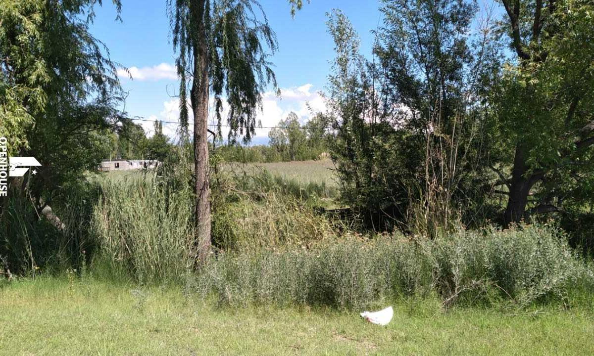 San Carlos Mendoza Eugenio Bustos Ruta 40 3