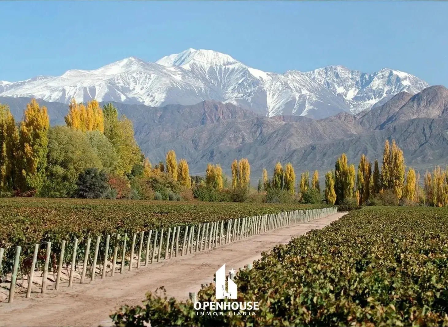 Lote en Luján de Cuyo 5