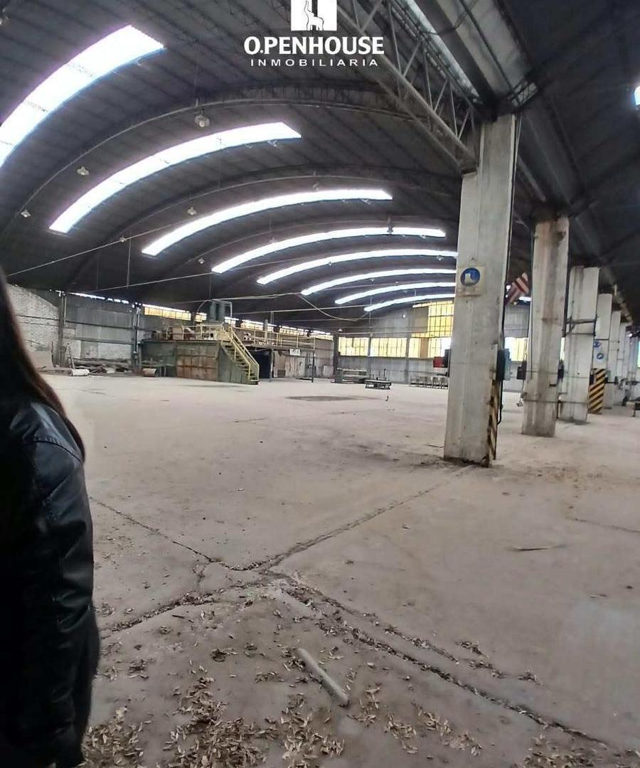 Foto de OPENHOUSE GROUP ALQUILA EXCEPCIONAL PROPIEDAD INDUSTRIAL Y LOGÍSTICA, imagen 3