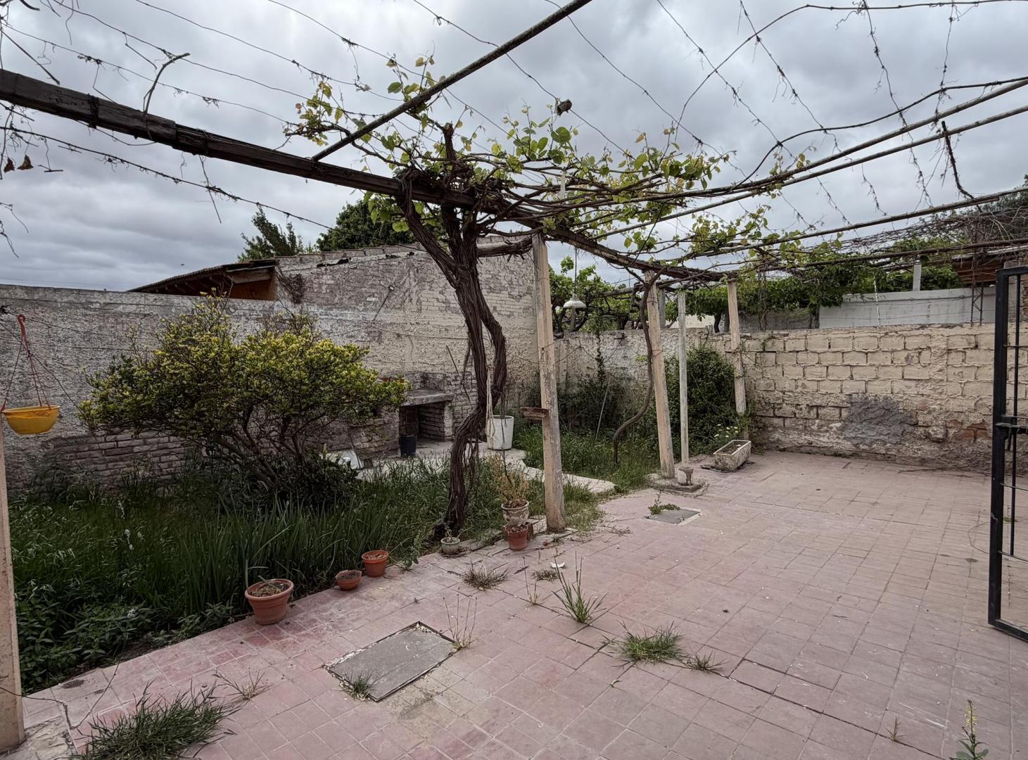 Foto de Casa a reciclar o demoler en Palmira, imagen 2
