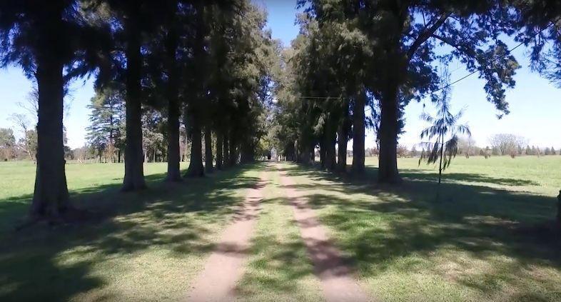 Foto de Terreno en Altos de Lujan, imagen 2